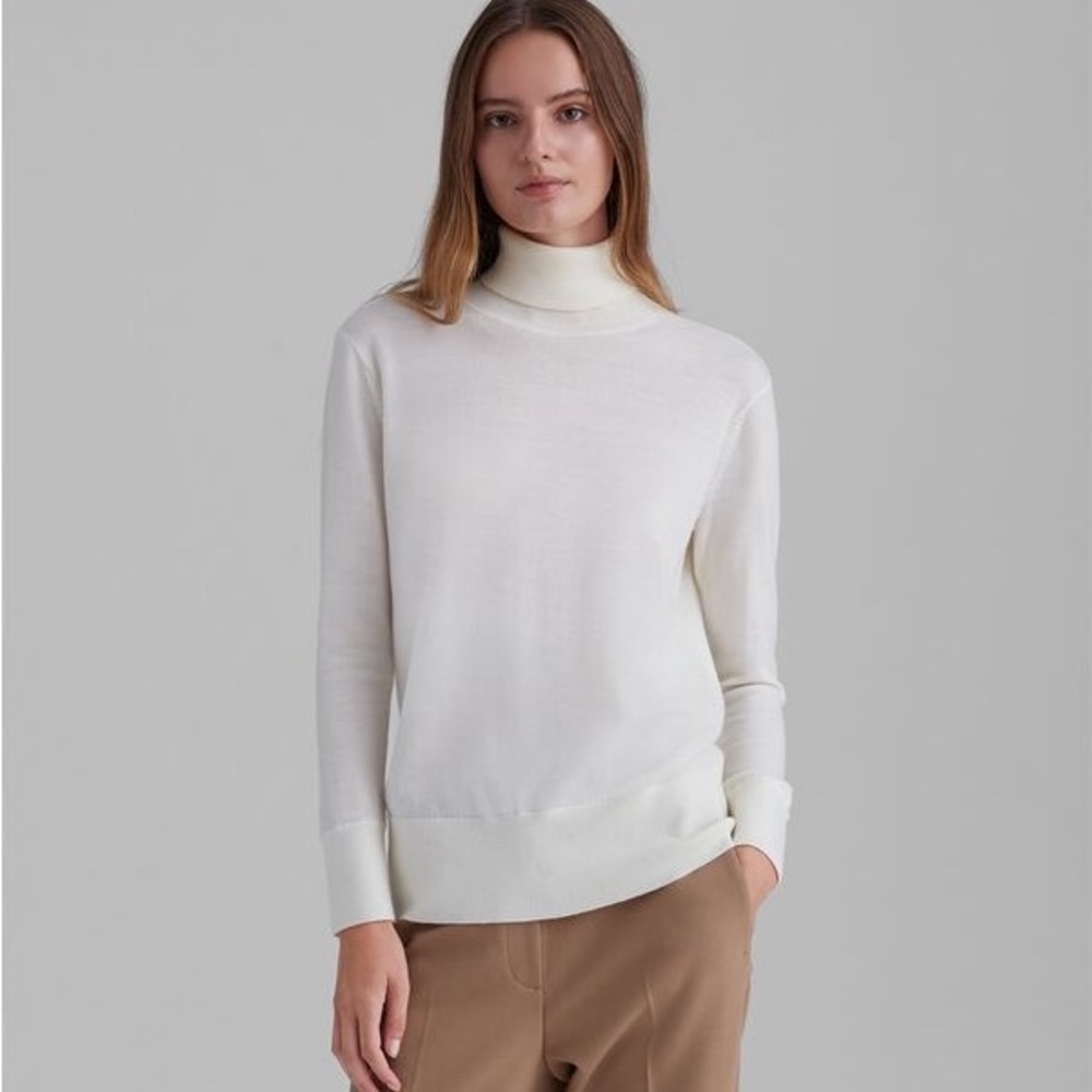 Club Monaco Merino Wool Turtleneck Sweater